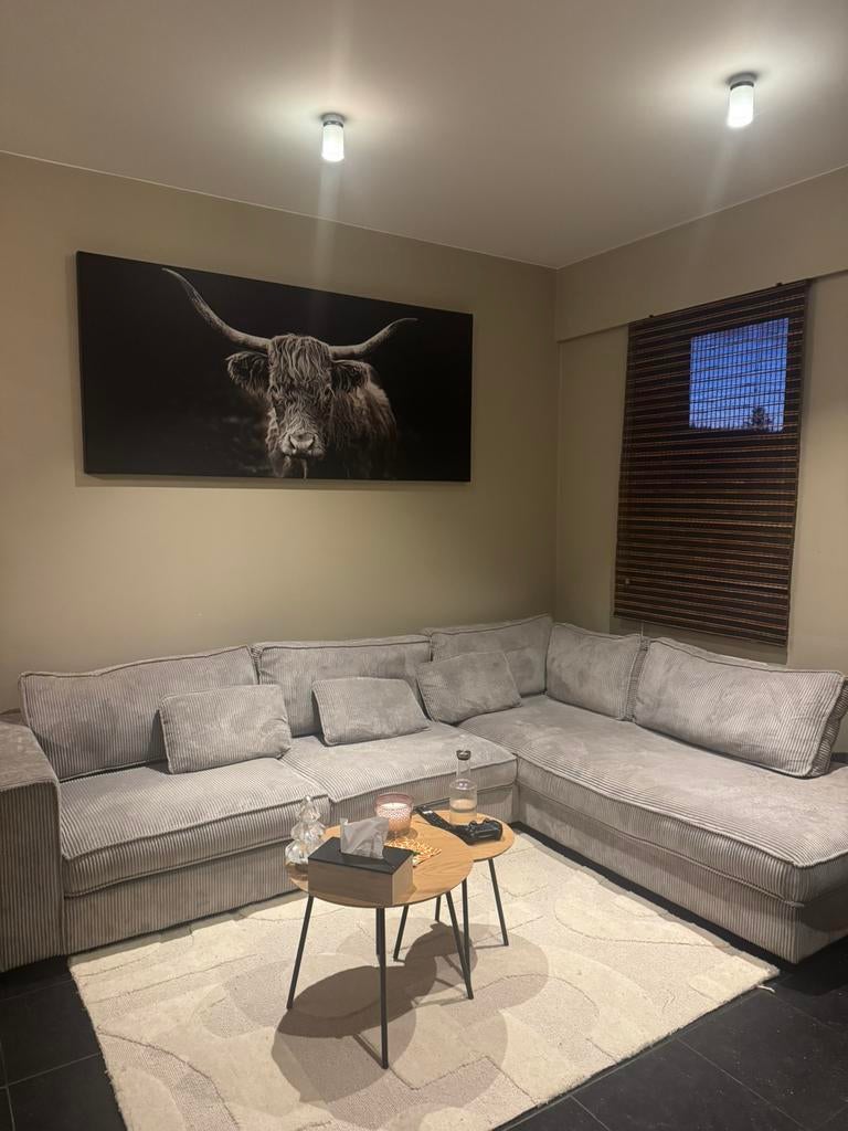 Canapé 6 places, Maison & Meubles, Enlèvement, Comme neuf