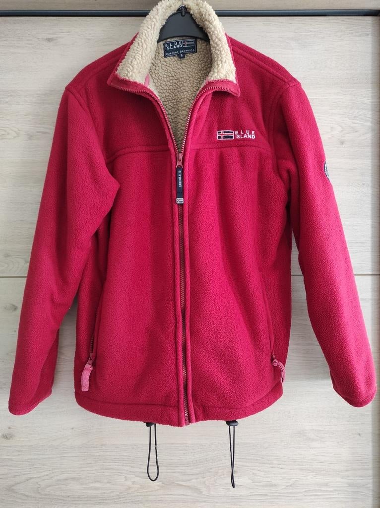 Warme vest, nauwelijks gedragen, Vêtements | Femmes, Vestes | Hiver, Enlèvement ou Envoi, Comme neuf, Taille 36 (S), Rouge