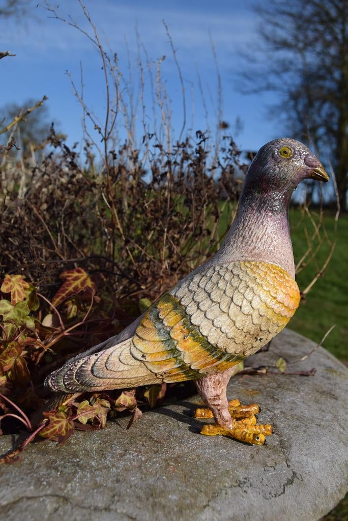 PIGEON EN FONTE PATINEE POLYCHROME, Enlèvement ou Envoi, Neuf