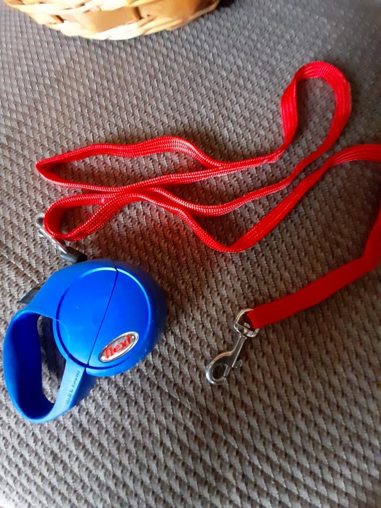 Leidbandjes voor katten , 2 stuks, amper gebruikt, Ophalen of Verzenden, Zo goed als nieuw