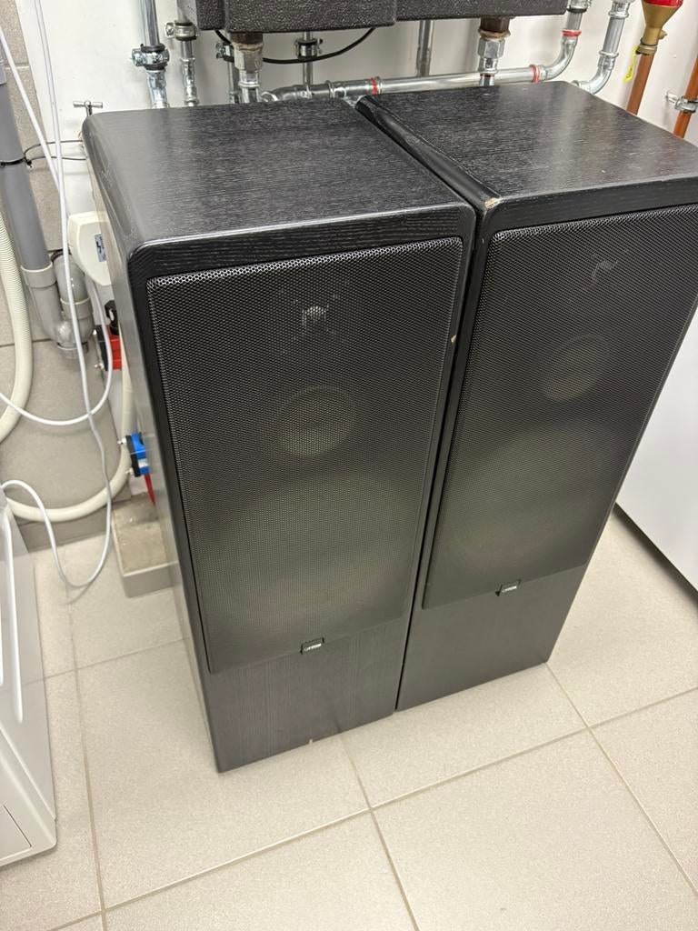 Luidspreker en versterker, Ophalen, Gebruikt, Front, Rear of Stereo speakers