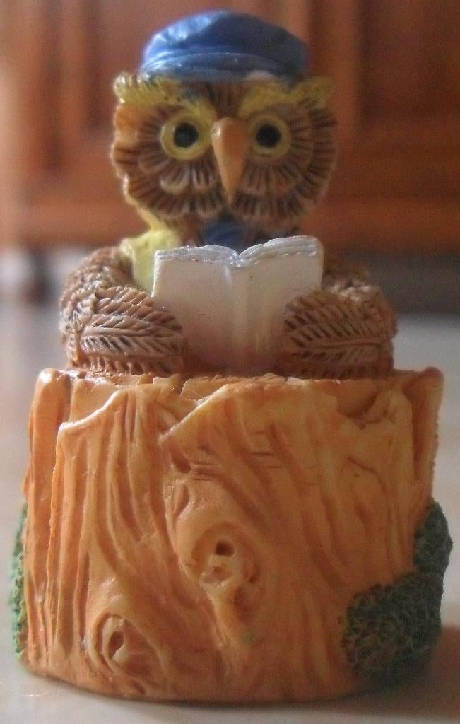 Hibou qui lit, Enlèvement ou Envoi