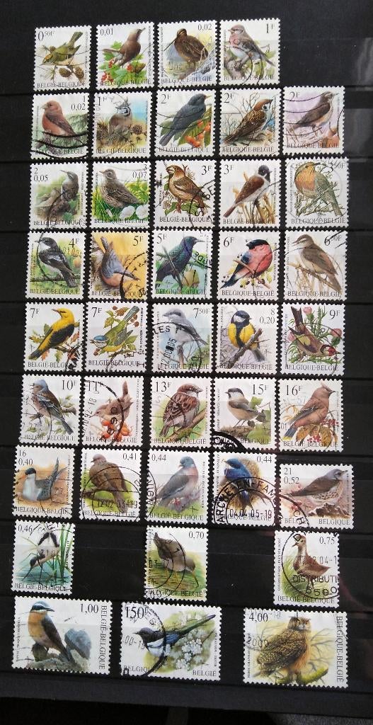 Lot de 40 timbres belges oiseaux "Buzin" de Belgique, Autre, Affranchi, Envoi, Autre