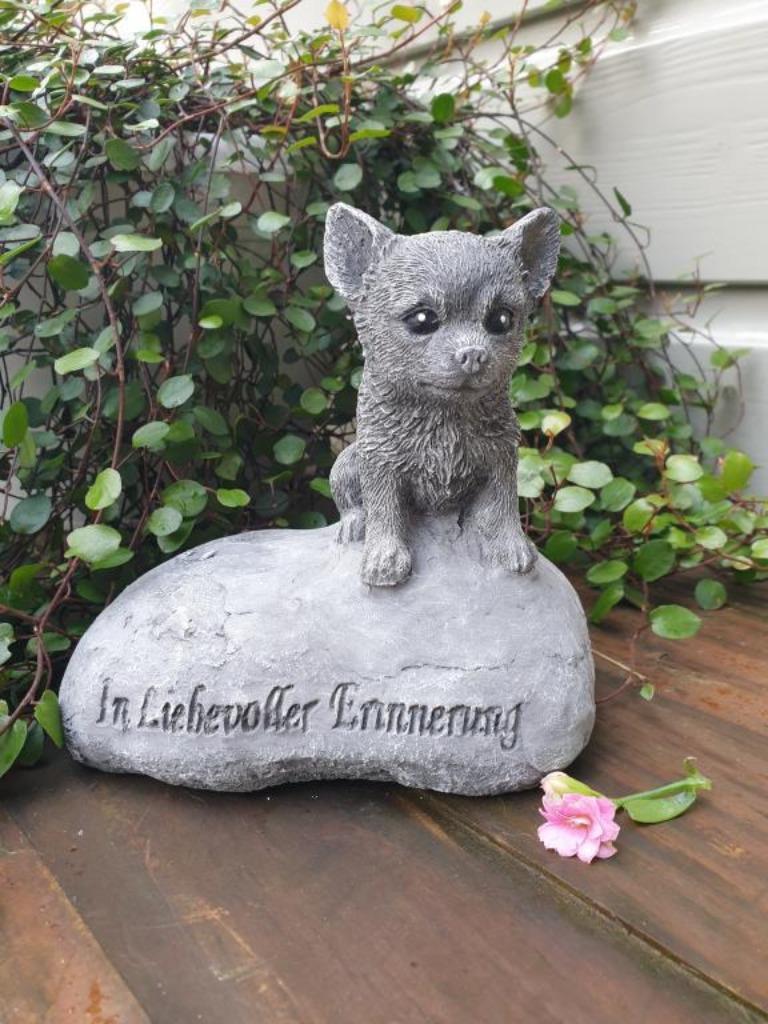 Chihuahua , hondje op steen , grafsteen , aanbieding, Tuin en Terras, Ophalen of Verzenden, Nieuw, Steen