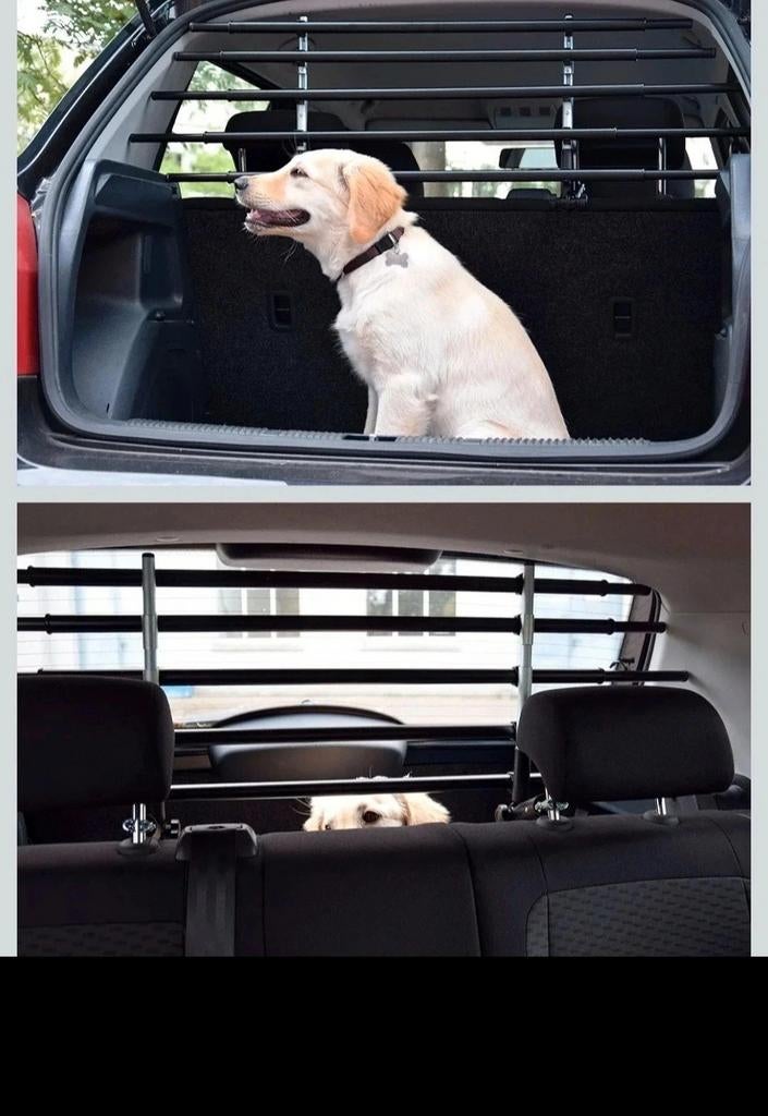 Grille de séparation coffre chien