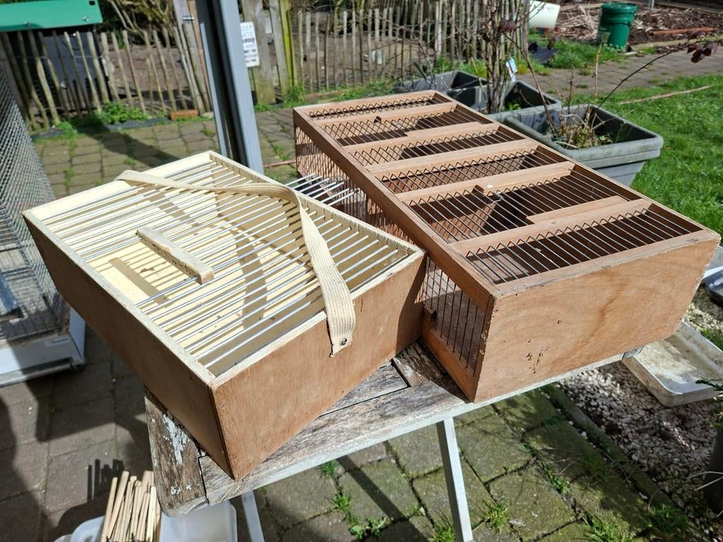 Allerhande vogelmateraal te koop .