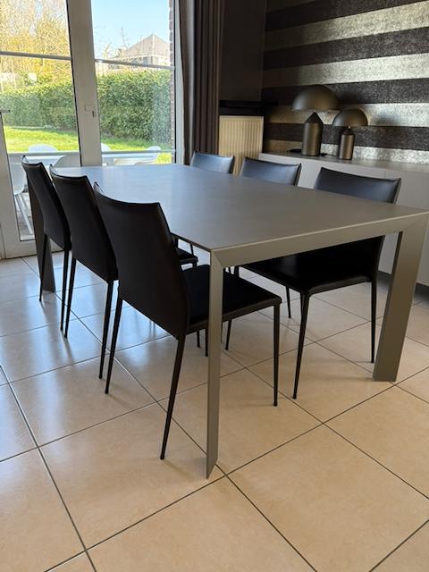 Eetkamerontwerp, Ophalen, Zo goed als nieuw, Moderne - Contemporain - Design, 6 tot 8 stoelen