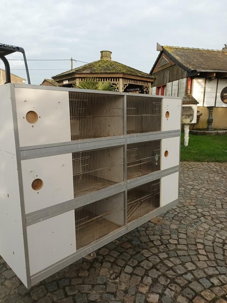 Kweekkooien volière, Dieren en Toebehoren, Ophalen, Volière