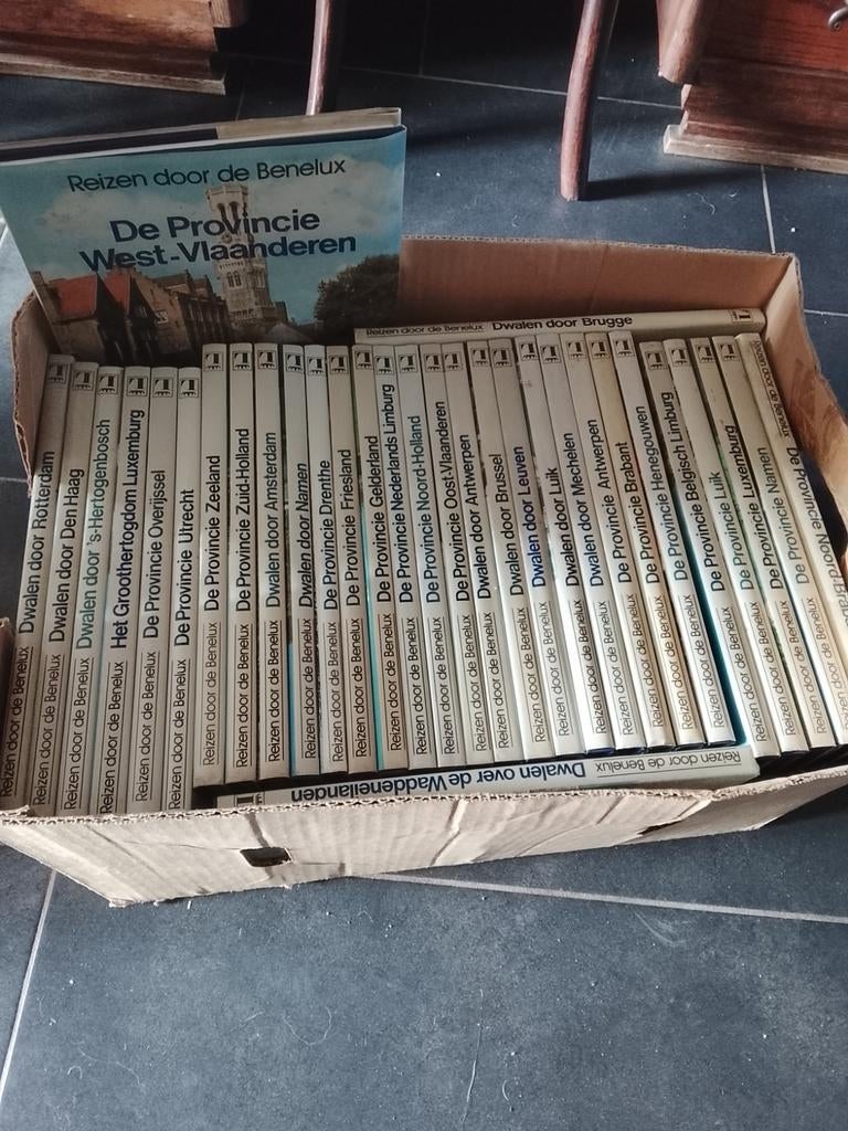 Reizen door de Benelux dwalen door ... Klein prijsje, Boeken, Ophalen