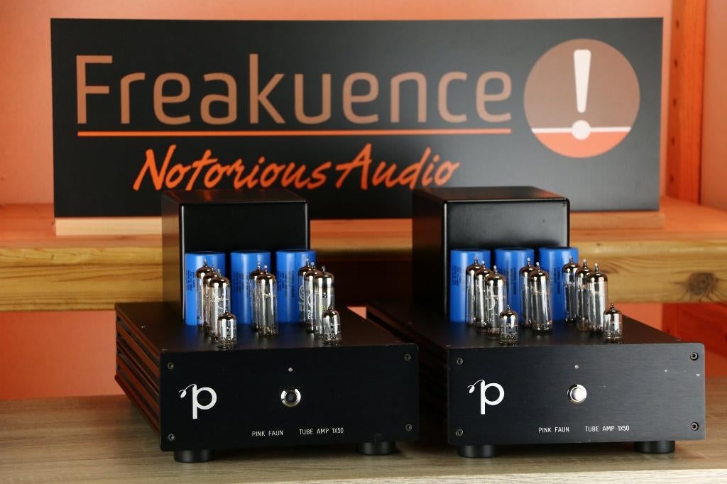 Pink Faun Tube Amp 1x50 / 1 x 50 INRUIL OK. Strakke sound!, Ophalen of Verzenden, Versterker