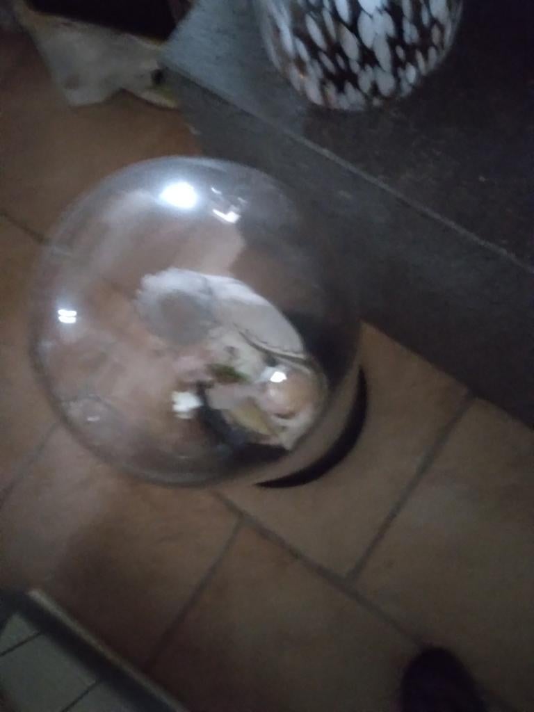 Hoge ronde globe met plaasteren jozef 58 cm, Ophalen