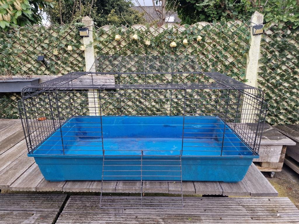 Grande cage pour cochons d'Inde ou lapins à vendre, Moins de 60 cm, Cage, Cobaye, Enlèvement