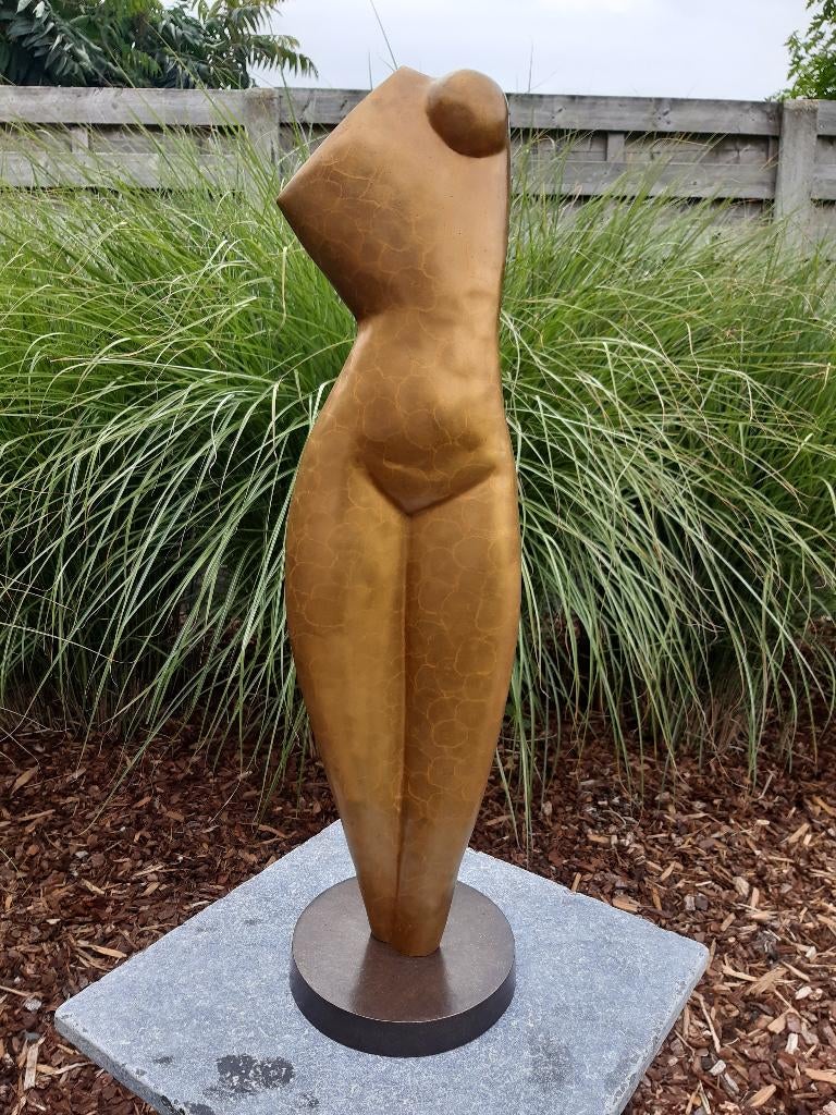 Bronzen speciaal kunstbeeld dame naakt, torso spotprijs nog1, Antiek en Kunst, Kunst | Beelden en Houtsnijwerken, Ophalen of Verzenden