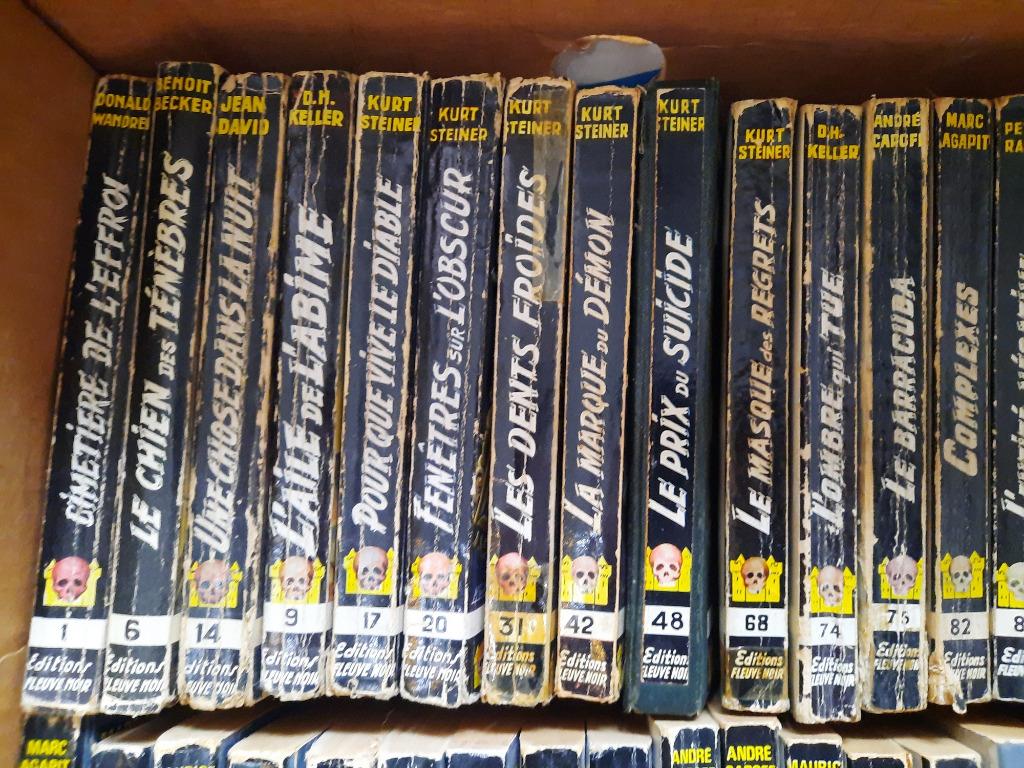 Angoisse Collection Fleuve Noir, Livres, Envoi, Utilisé