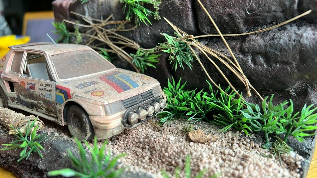 diorama van een Peugeot 205 Turbo rallyauto., Ophalen of Verzenden, Zo goed als nieuw, Diorama