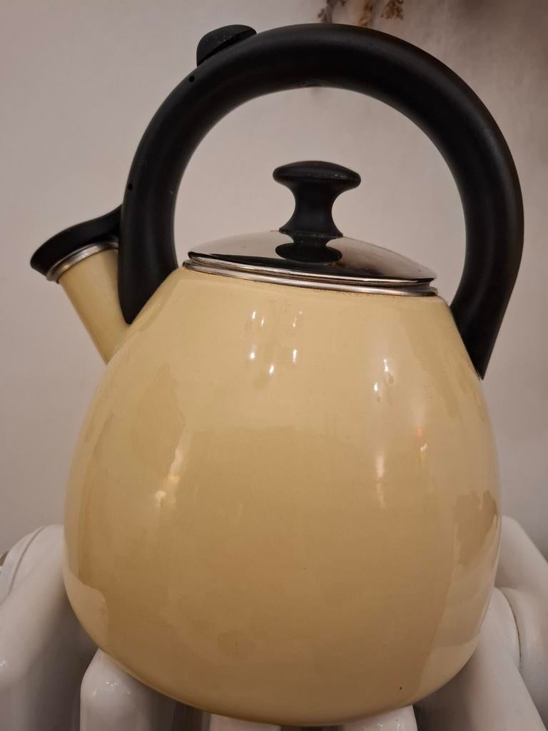 Retro emaille fluitketel waterkoker, Ophalen