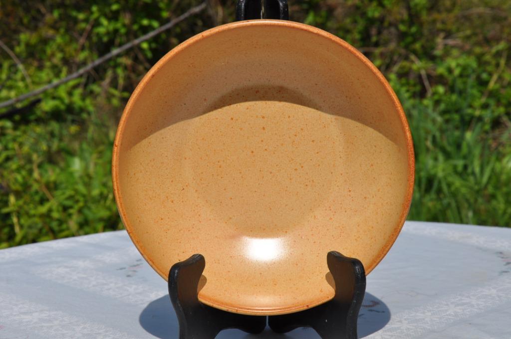 plat creux terre cuite emaillée, Maison & Meubles, Enlèvement ou Envoi, Comme neuf, Céramique, Récipient(s)