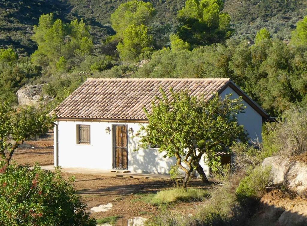 Finca in Maella (Aragón, Spanje) - 0941, 56 m², Overige soorten, Spanje, Landelijk