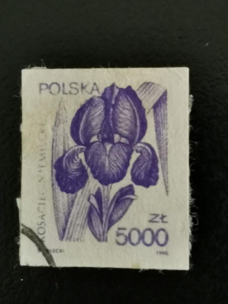 Polen 1990 - bloemen - iris, blauwe lis, Ophalen of Verzenden, Polen, Gestempeld