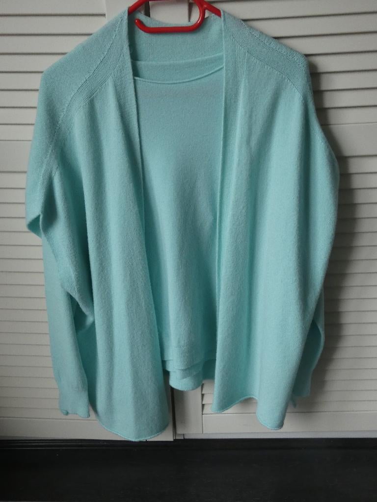 Twin Set vert clair (pull + gilet débardeur), Vêtements | Femmes, Taille 42/44 (L), Enlèvement ou Envoi, Sans marque, Vert