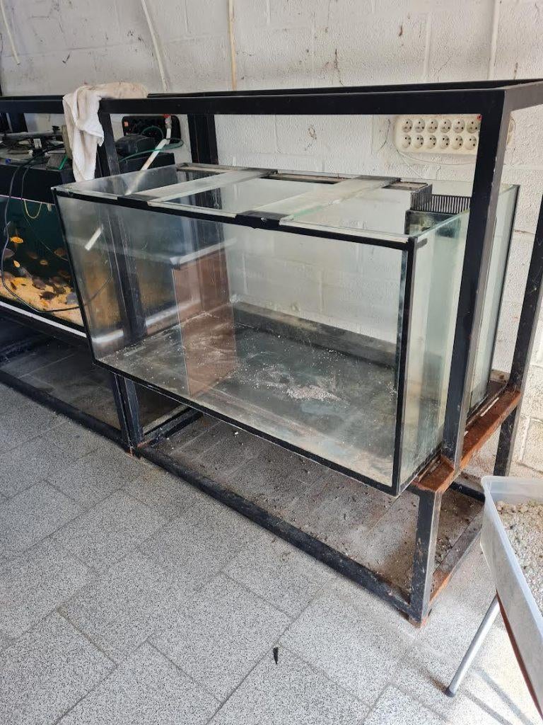 aquarium in dik glas, Dieren en Toebehoren, Ophalen