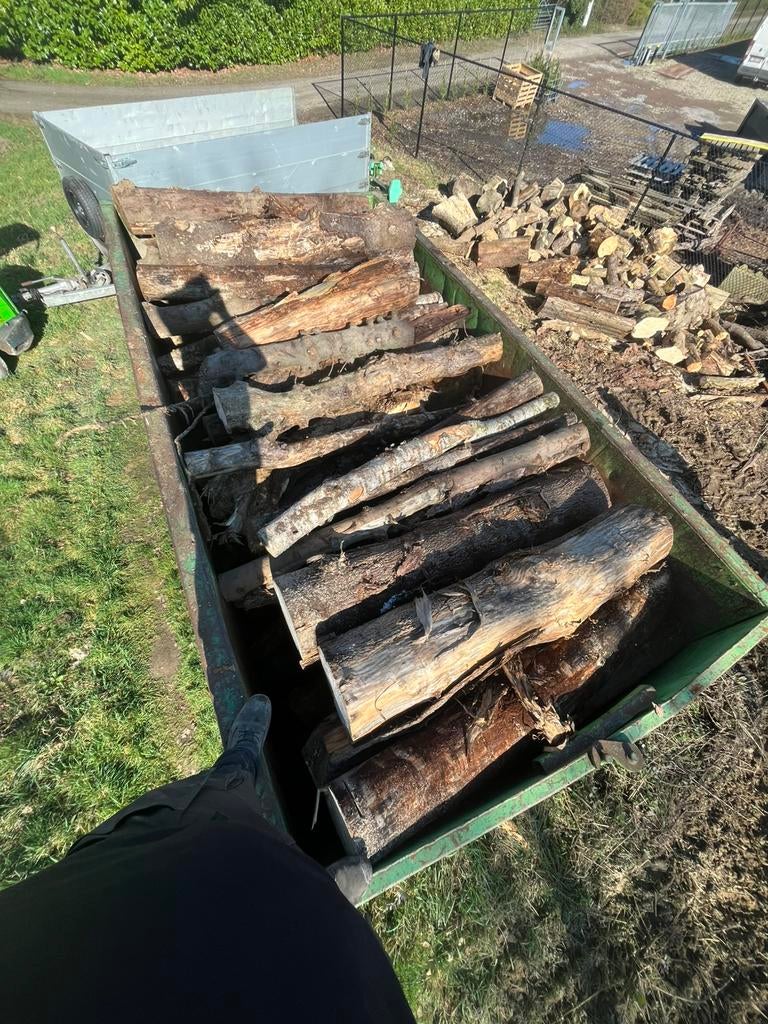 Brandhout container 20 kuub, Jardin & Terrasse, Bois de chauffage, Enlèvement, Troncs d'arbres