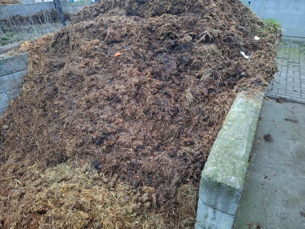 Paardenmest met gehakseld tarwestro, Tuin en Terras, Ophalen, Mest