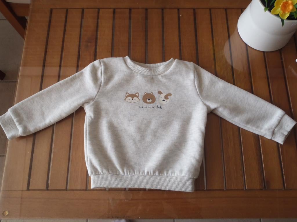 trui maat 74, Ophalen of Verzenden, Zo goed als nieuw, Jongetje, Truitje of Vestje