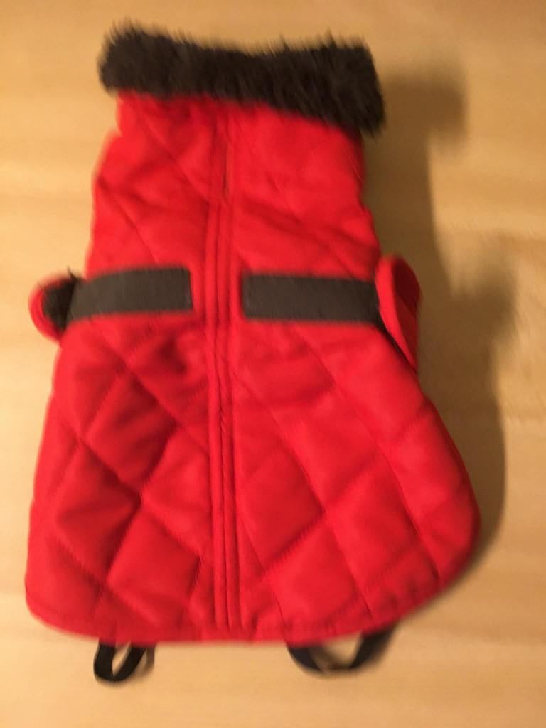 Imperméable pour petit chien, Dieren en Toebehoren, Hondenkleding, Ophalen, Zo goed als nieuw