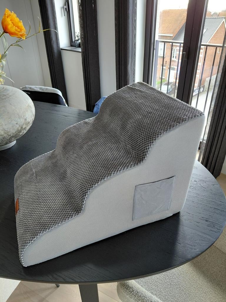 Opstap voor hond, Enlèvement