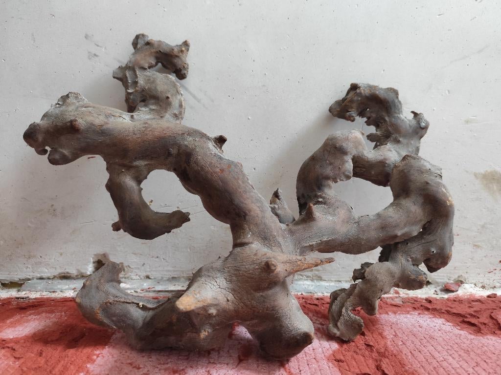 Aquarium terrarium van Real Wood, Dieren en Toebehoren, Ophalen, Zo goed als nieuw, Gevuld zoetwateraquarium