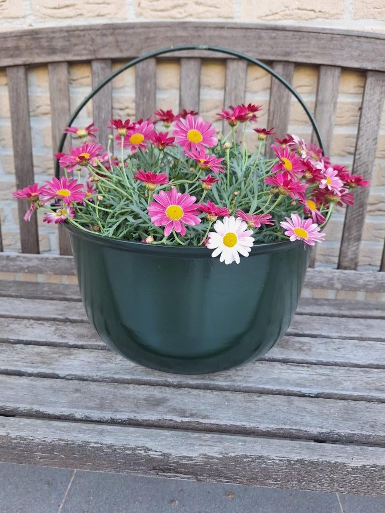 nieuwe ronde bloembak heksenketel, Rond, Nieuw, Ophalen of Verzenden, Metaal