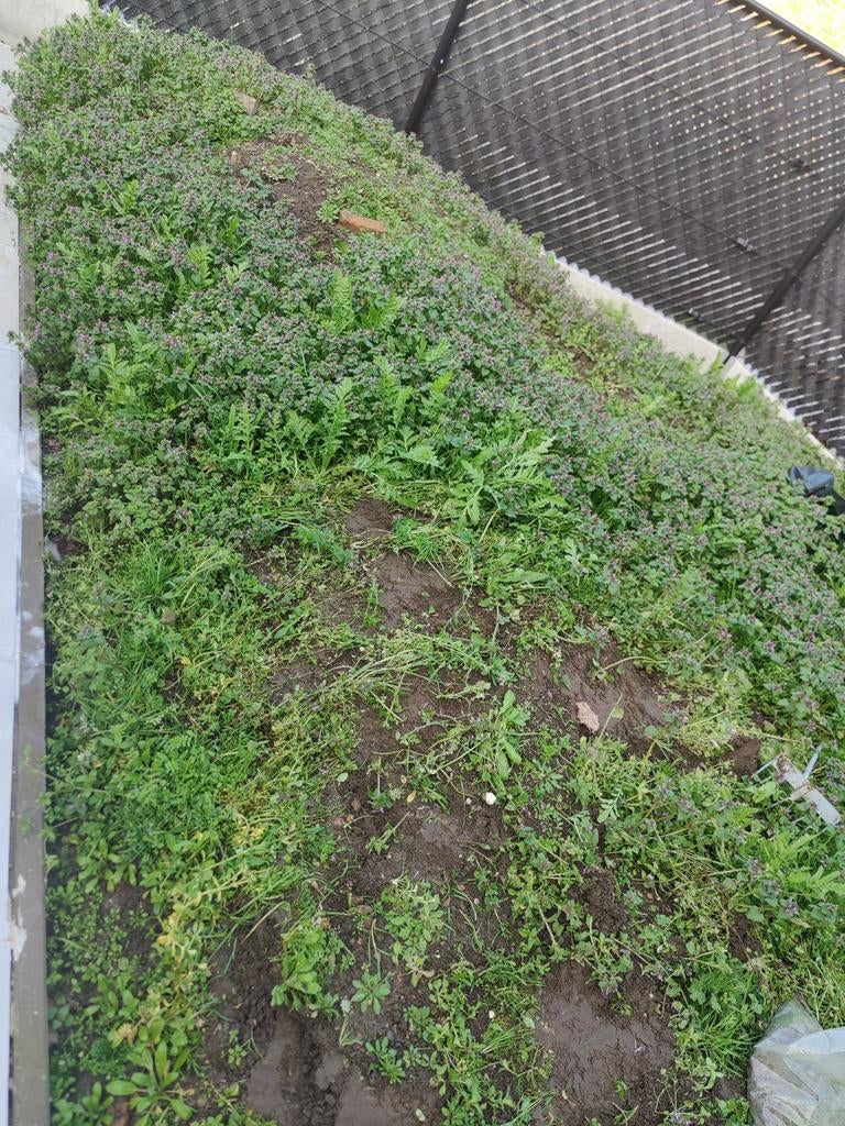 Gratis aarde - zelf op te halen beveren waas, Enlèvement