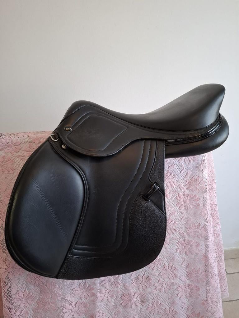 Ikonic Evolution Black series springzadel 17 inch, Dieren en Toebehoren, Paarden en Pony's | Zadels, Ophalen, Ikonic, Ikonic, Ikonic