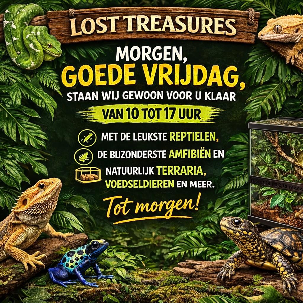 Morgen - goede vrijdag, geopend met vele reptielen, Dieren en Toebehoren, Amfibie