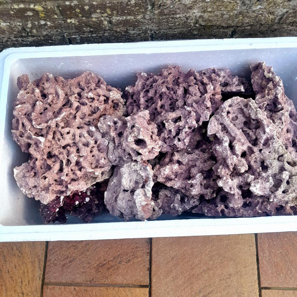 Pierres pour aquarium marin, Enlèvement, Comme neuf, Decoratie, Autres marques