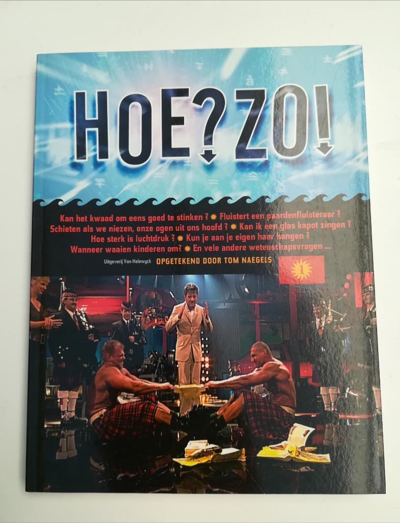Hoe?Zo! (Tom Naegels), Boeken, Ophalen of Verzenden, Tom Naegels