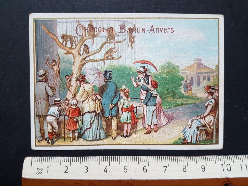 Chromo Chocolat Baron Anvers Antwerpen ZOO apen aap, Verzamelen, Foto's en Prenten, Zo goed als nieuw, Prent, Dier, Voor 1940