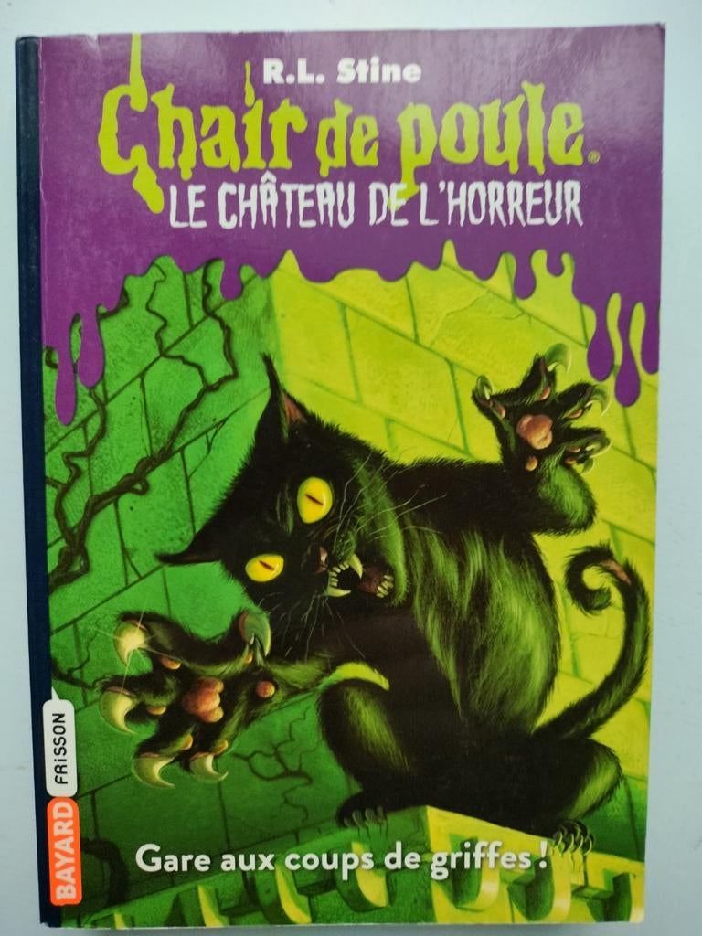 Chair de poule Le chateau de l'horreur 1: Gare aux coups de, Livres, Enlèvement ou Envoi, Comme neuf