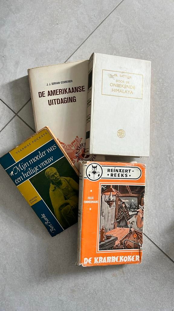 Nederlandstalige boeken, Enlèvement, Comme neuf