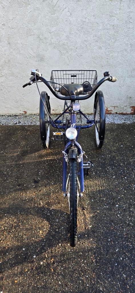 Volwassen driewieler Tri-bike (Eco-Trike), Fietsen en Brommers, Ophalen, Gebruikt, Tri-bike