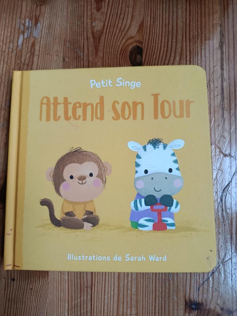 PETIT SINGE ASSISTE À LA VISITE DE SON FILS - Sarah Ward, Garçon ou Fille, Enlèvement ou Envoi, Fiction général, Comme neuf