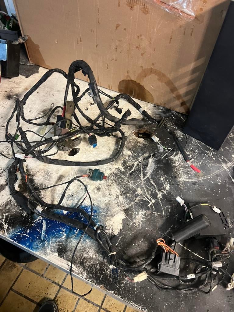 Piaggio 125cc leader blok kabelboom, Enlèvement, Bloc, Piaggio