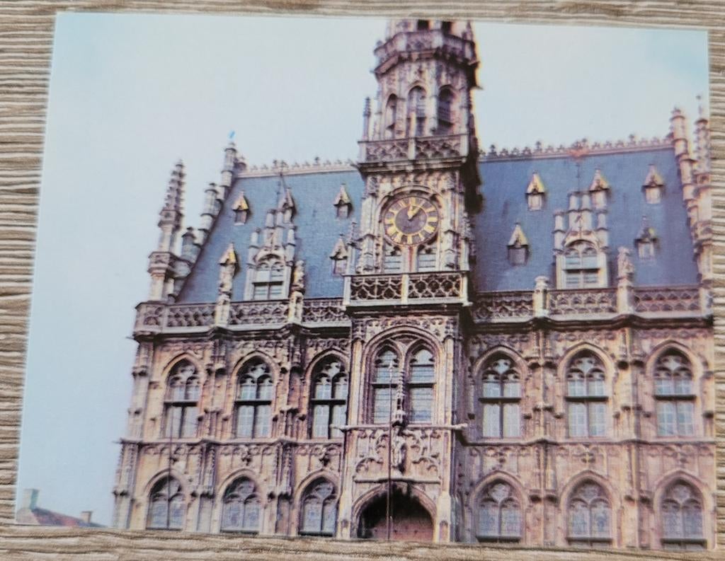 Oude fotoprent: gemeentehuis, Oudenaarde, Enlèvement ou Envoi, Utilisé, Bâtiment, Gravure