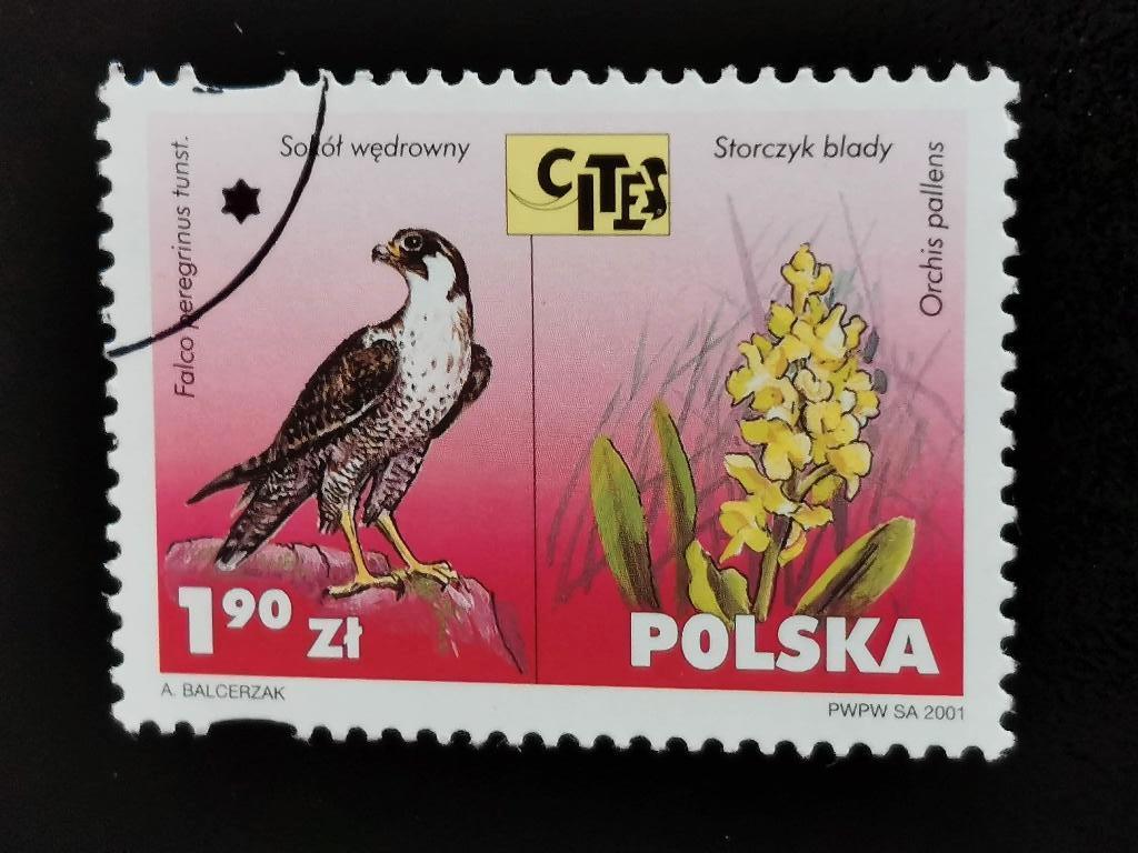 Polen 2001 - vogels, slechtvalk, bloemen, wilde orchidee, Ophalen of Verzenden, Polen, Gestempeld