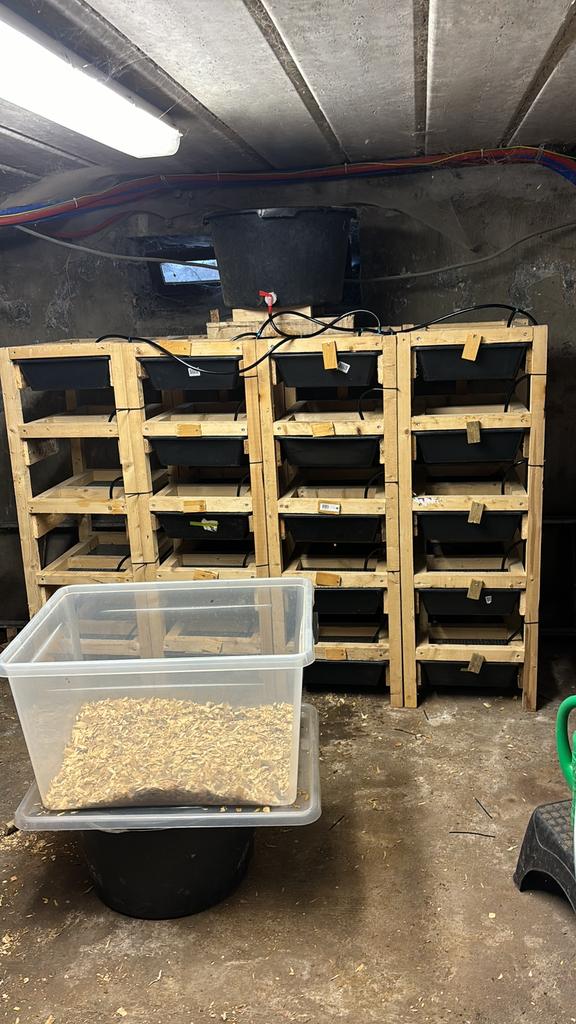 Ratten rekken, Ophalen, Gebruikt, Minder dan 75 cm, 90 cm of meer