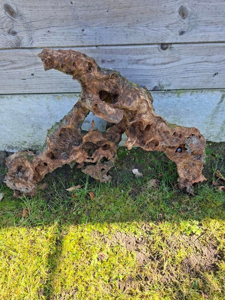 Een stronk voor in de aquarium te zetten., Dieren en Toebehoren, Ophalen