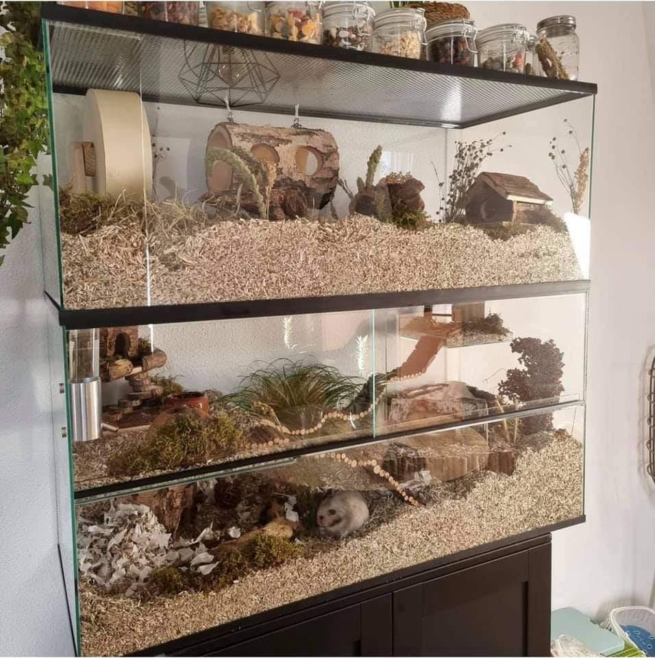 Uitbreidingen voor terrarium en gerbilarium, Dieren en Toebehoren, Knaagdieren en Konijnen | Hokken en Kooien, Nieuw, Overige typen