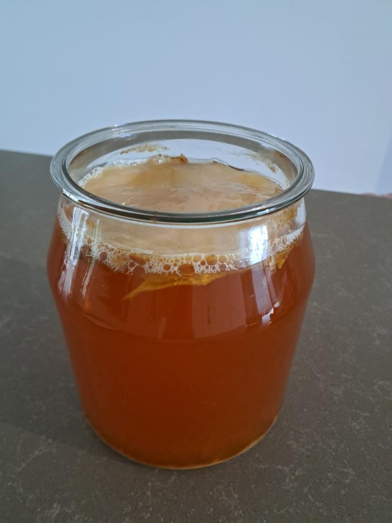 Gezonde scoby voor kombucha, Diversen, Levensmiddelen, Ophalen