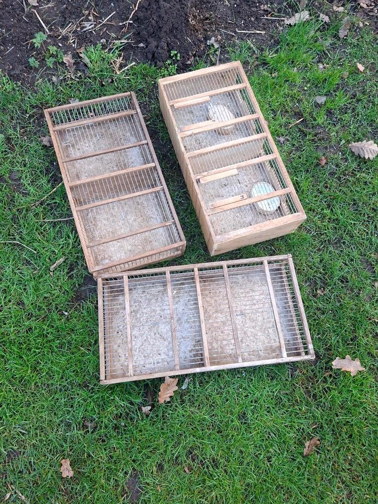 Transportbakken 12 euro stuk  2 voor 20 euro